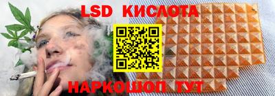 СК Изобильный