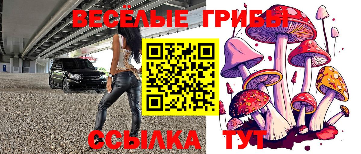 Псилоцибиновые грибы Magic Shrooms  Вход с VPN  Когалым 